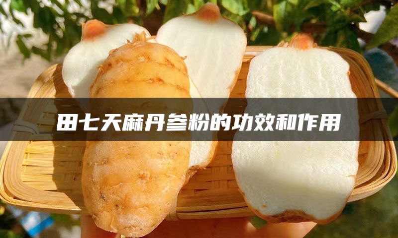 田七天麻丹参粉的功效和作用