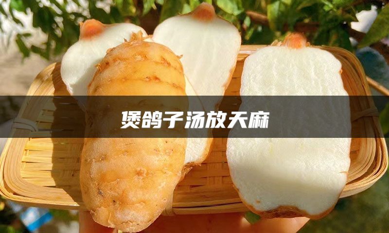 煲鸽子汤放天麻