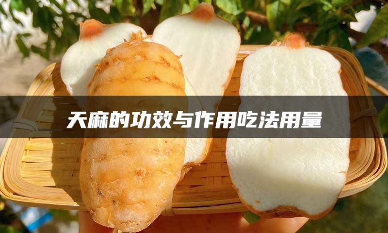 天麻的功效与作用吃法用量