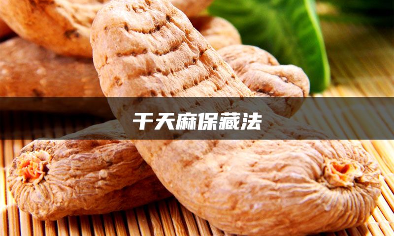 干天麻保藏法