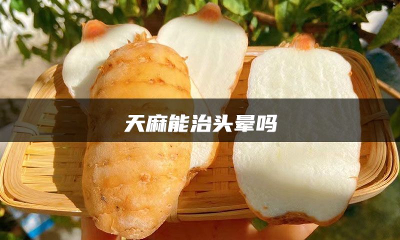 天麻能治头晕吗