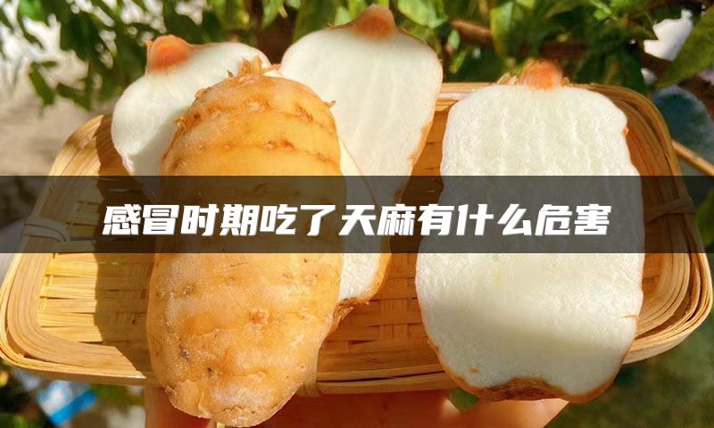 感冒时期吃了天麻有什么危害