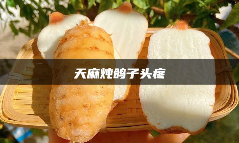 天麻炖鸽子头疼