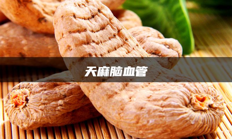 天麻脑血管