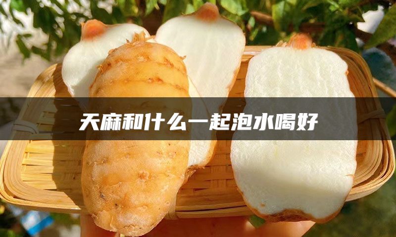 天麻和什么一起泡水喝好