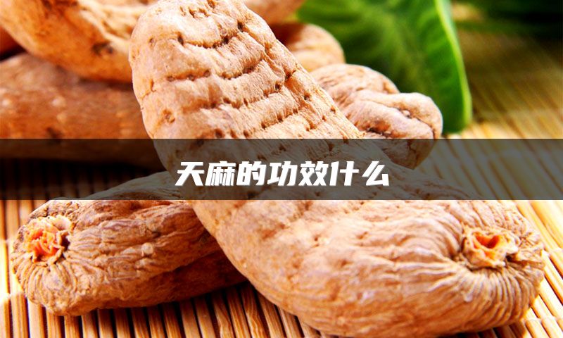 天麻的功效什么