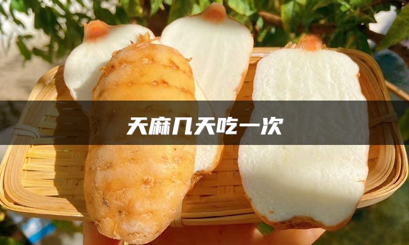 天麻几天吃一次