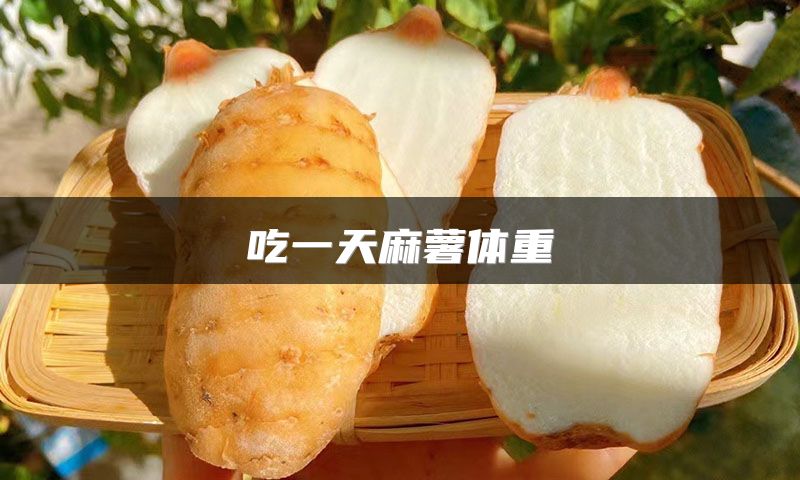 吃一天麻薯体重
