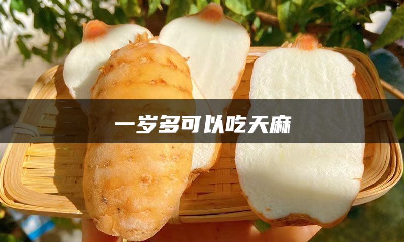 一岁多可以吃天麻