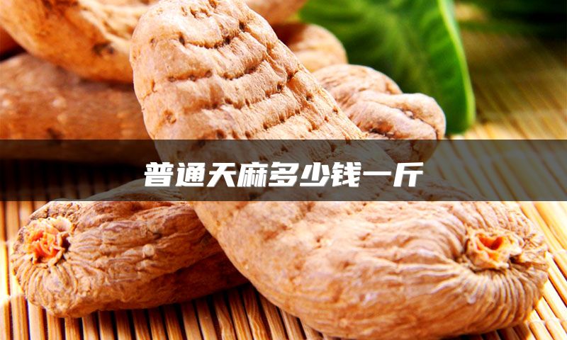 普通天麻多少钱一斤