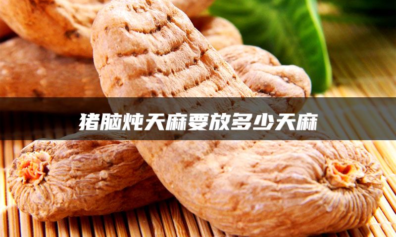 猪脑炖天麻要放多少天麻