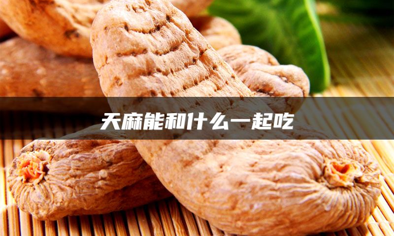天麻能和什么一起吃