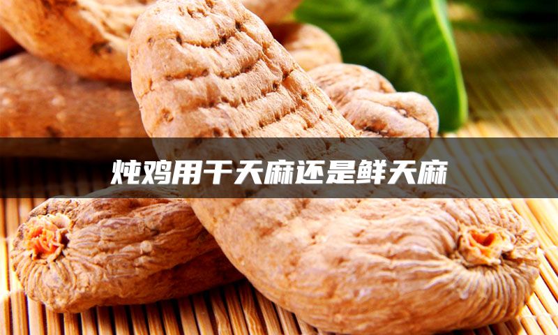 炖鸡用干天麻还是鲜天麻