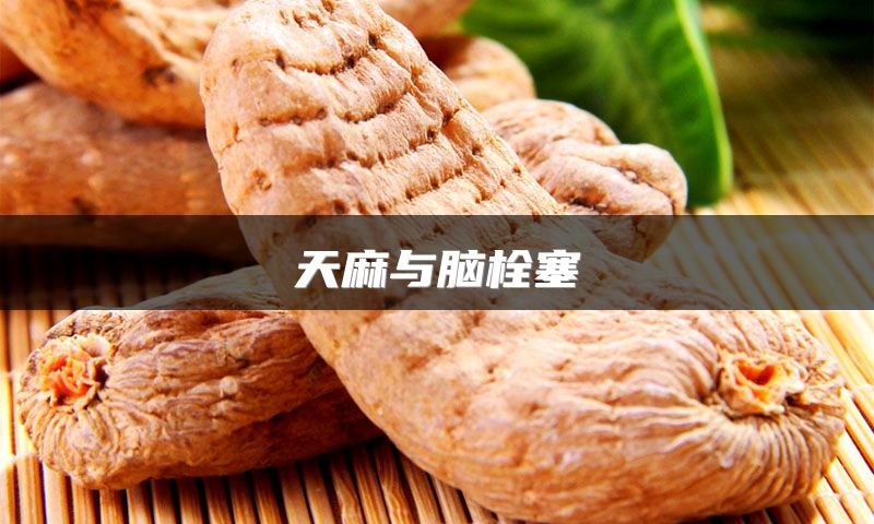 天麻与脑栓塞