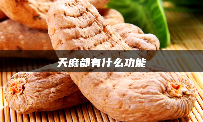天麻都有什么功能
