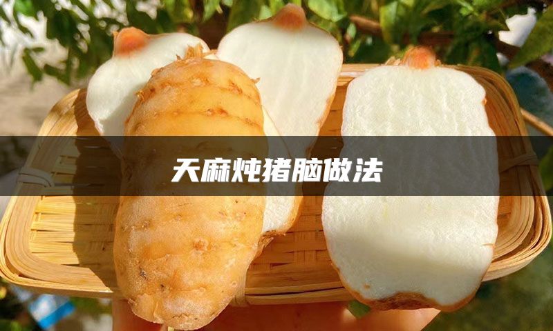 天麻炖猪脑做法