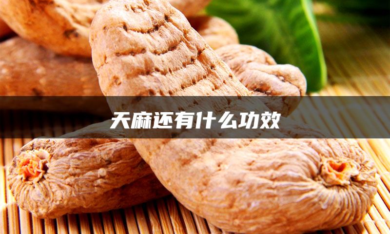 天麻还有什么功效
