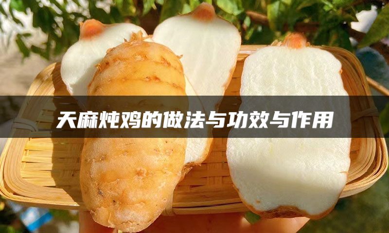 天麻炖鸡的做法与功效与作用