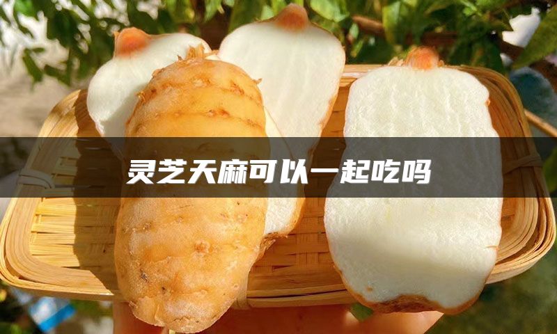 灵芝天麻可以一起吃吗