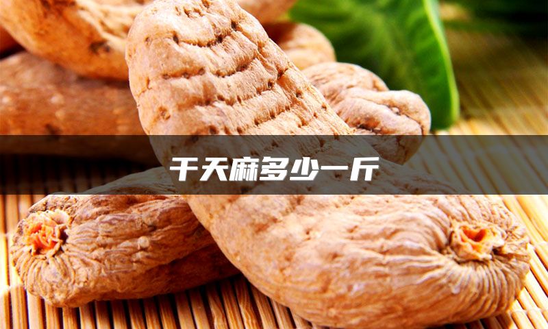 干天麻多少一斤