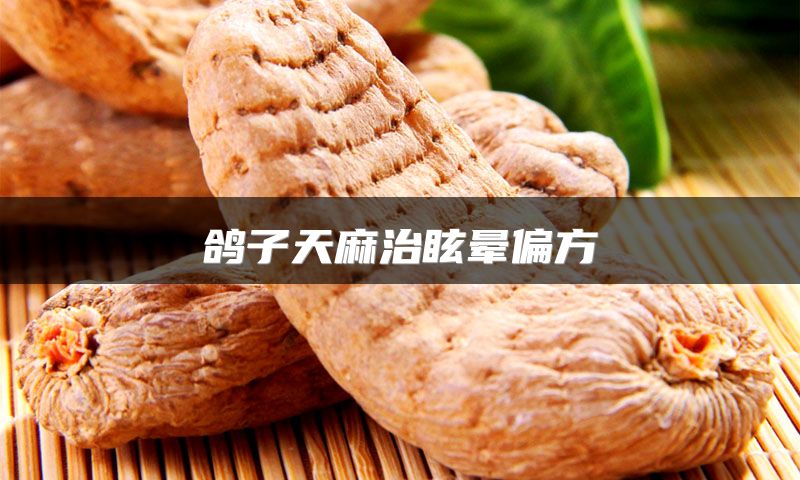 鸽子天麻治眩晕偏方