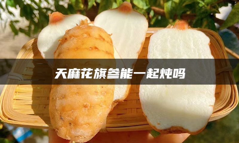 天麻花旗参能一起炖吗