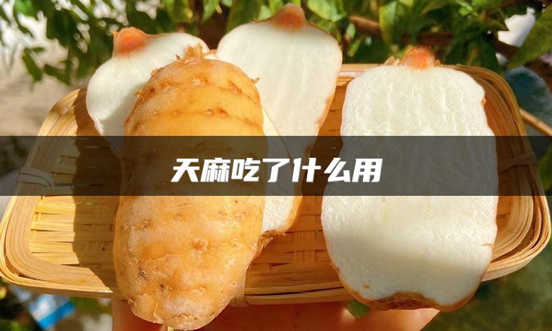 天麻吃了什么用