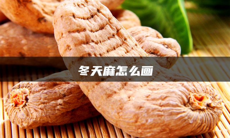 冬天麻怎么画