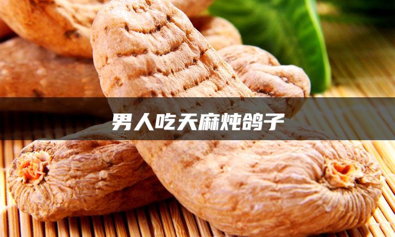 男人吃天麻炖鸽子