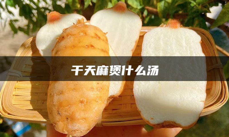 干天麻煲什么汤