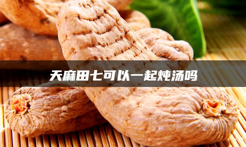 天麻田七可以一起炖汤吗