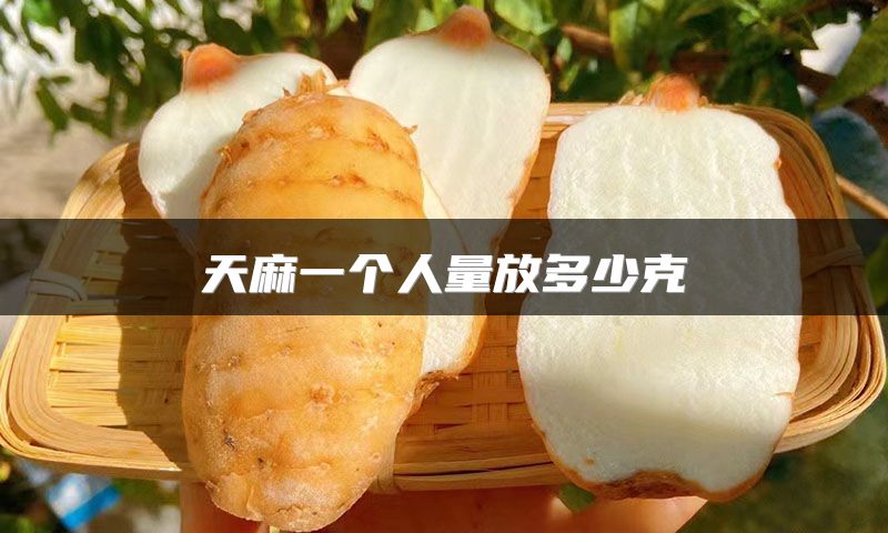 天麻一个人量放多少克