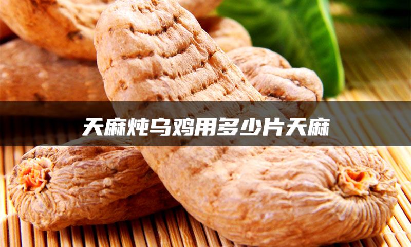 天麻炖乌鸡用多少片天麻