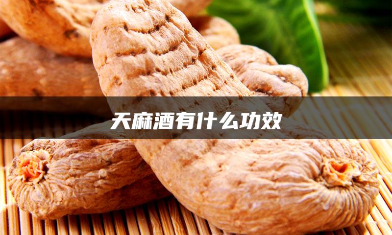 天麻酒有什么功效