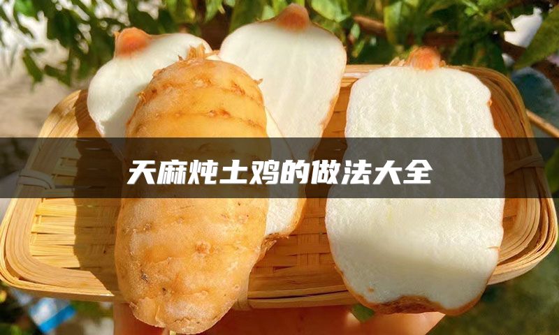 天麻炖土鸡的做法大全