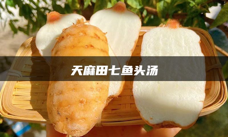 天麻田七鱼头汤