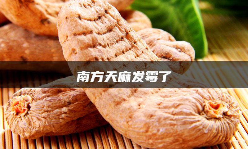 南方天麻发霉了