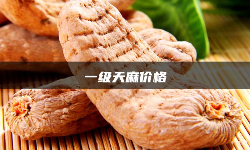 一级天麻价格