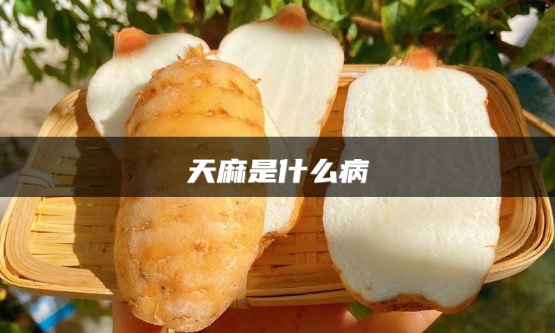 天麻是什么病