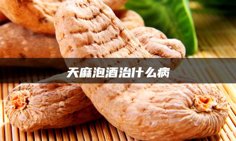 天麻泡酒治什么病