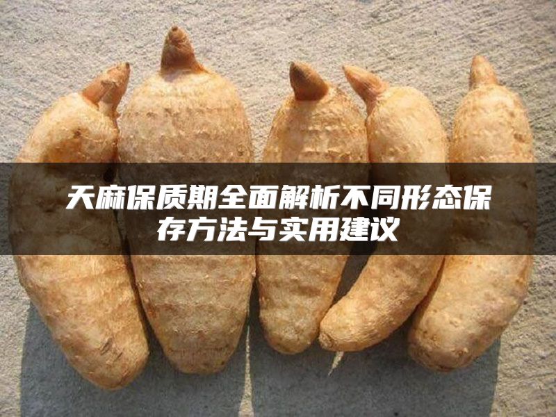 天麻保质期全面解析不同形态保存方法与实用建议