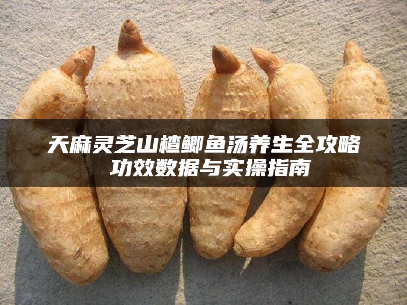 天麻灵芝山楂鲫鱼汤养生全攻略 功效数据与实操指南