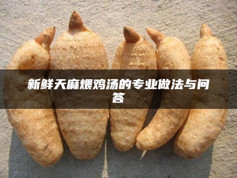 新鲜天麻煨鸡汤的专业做法与问答