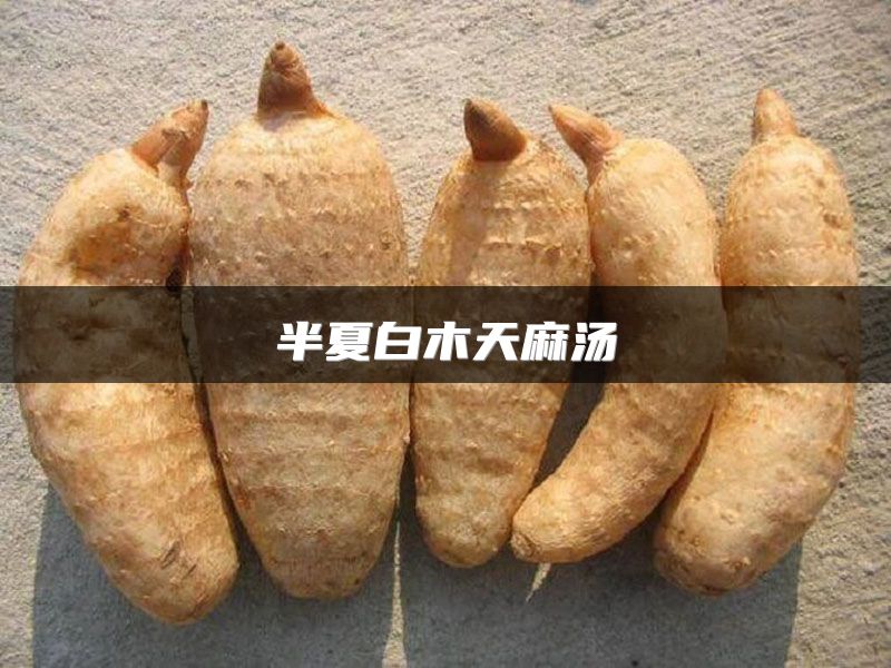 半夏白木天麻汤