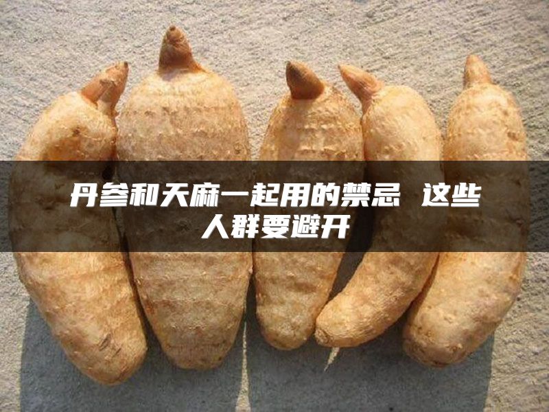 丹参和天麻一起用的禁忌 这些人群要避开