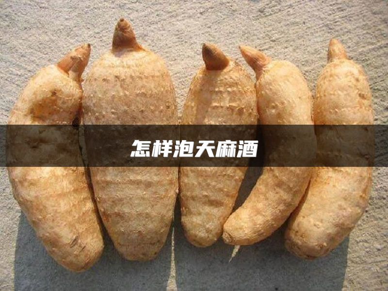 怎样泡天麻酒