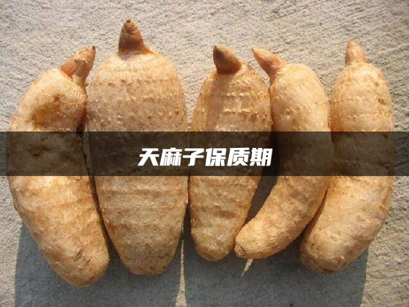 天麻子保质期