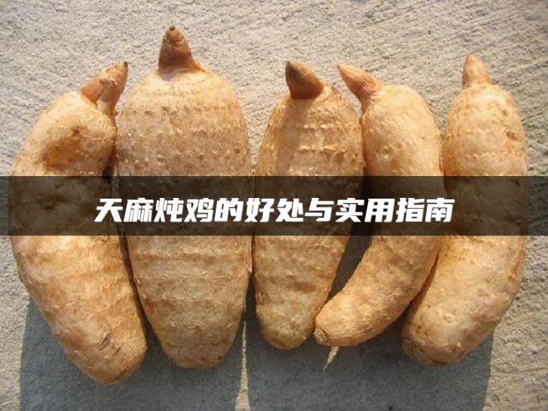 天麻炖鸡的好处与实用指南