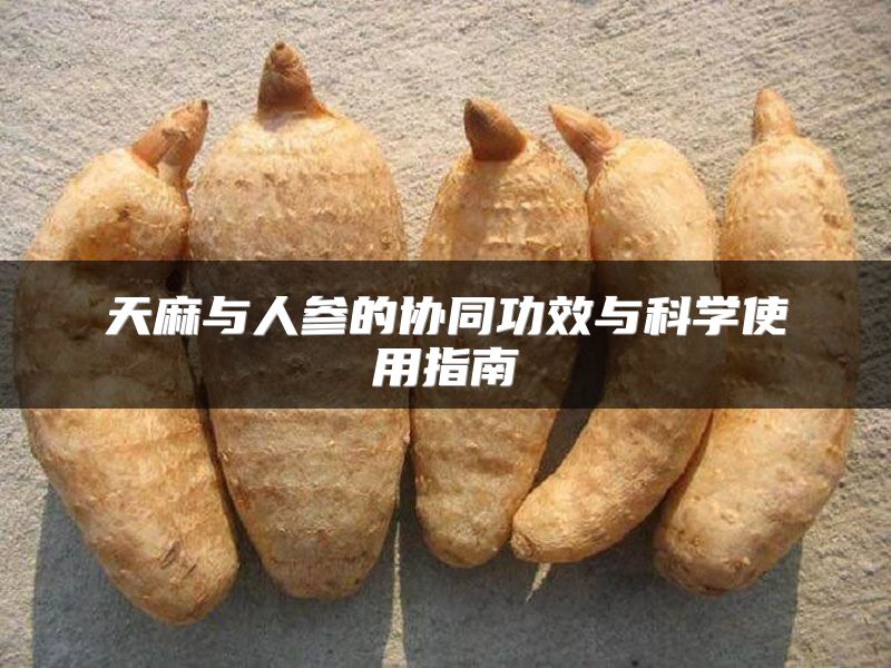 天麻与人参的协同功效与科学使用指南