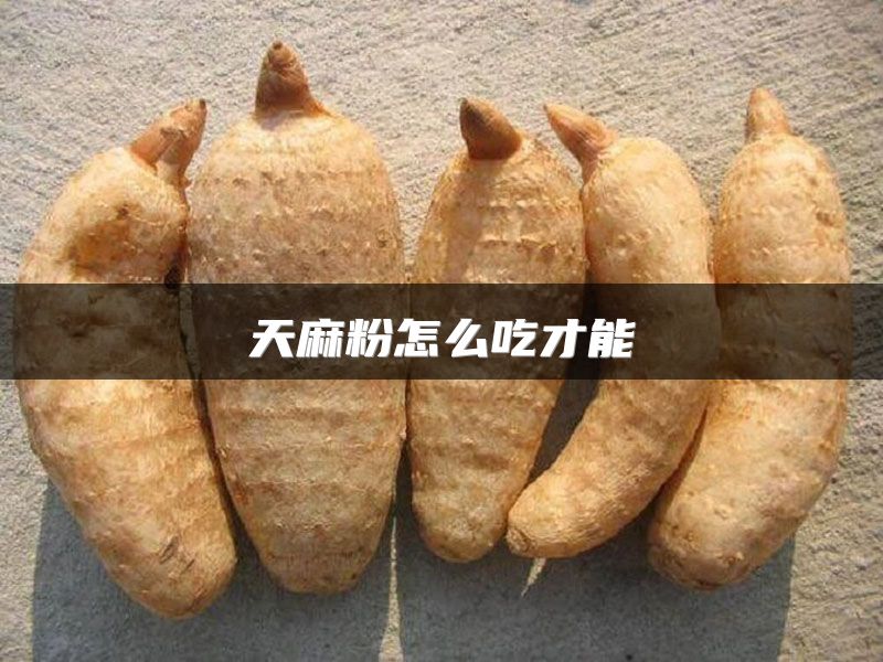 天麻粉怎么吃才能